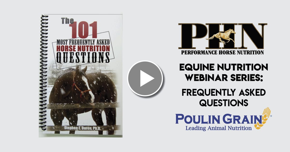 (PART 4) PHN Webinar Series: Frequently Asked Questions
